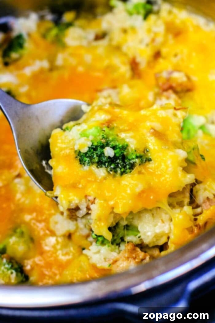 instant pot chicken and rice with broccoli