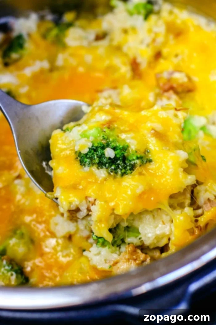 instant pot chicken and rice