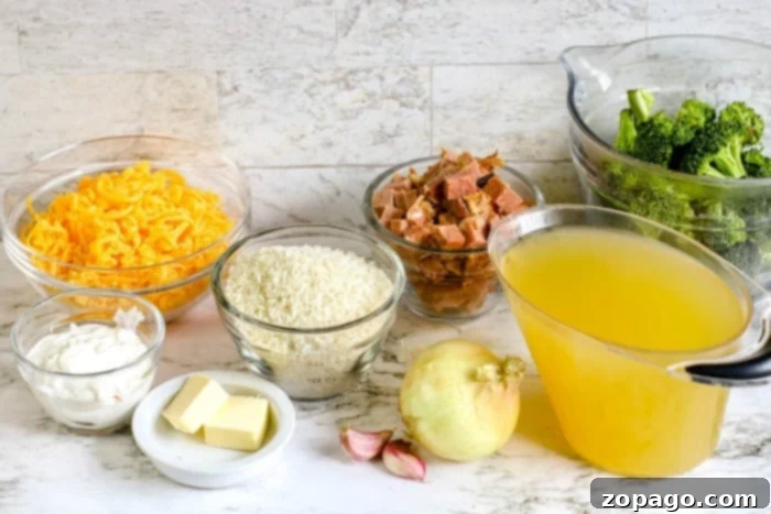 instant pot cheesy rice