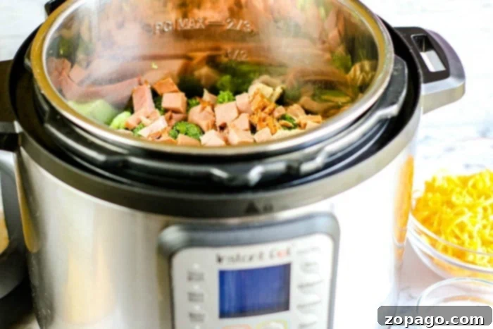 One Pot Instant Pot Chicken Broccoli and Rice 5 Instant Pot ham and rice casserole
