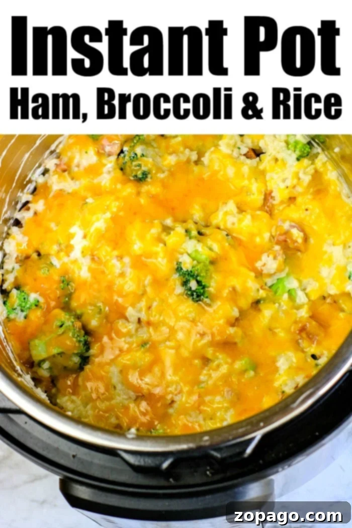 instant pot broccoli rice