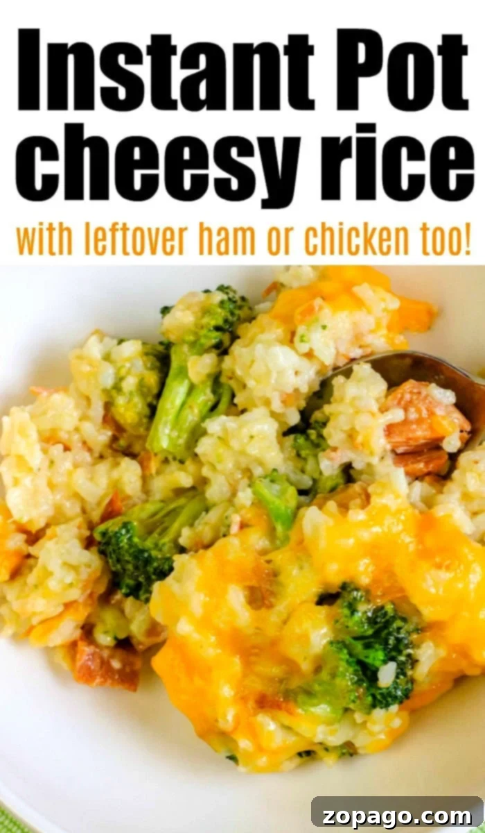 One Pot Instant Pot Chicken Broccoli and Rice 7 Pressure cooker chicken broccoli rice in a serving bowl