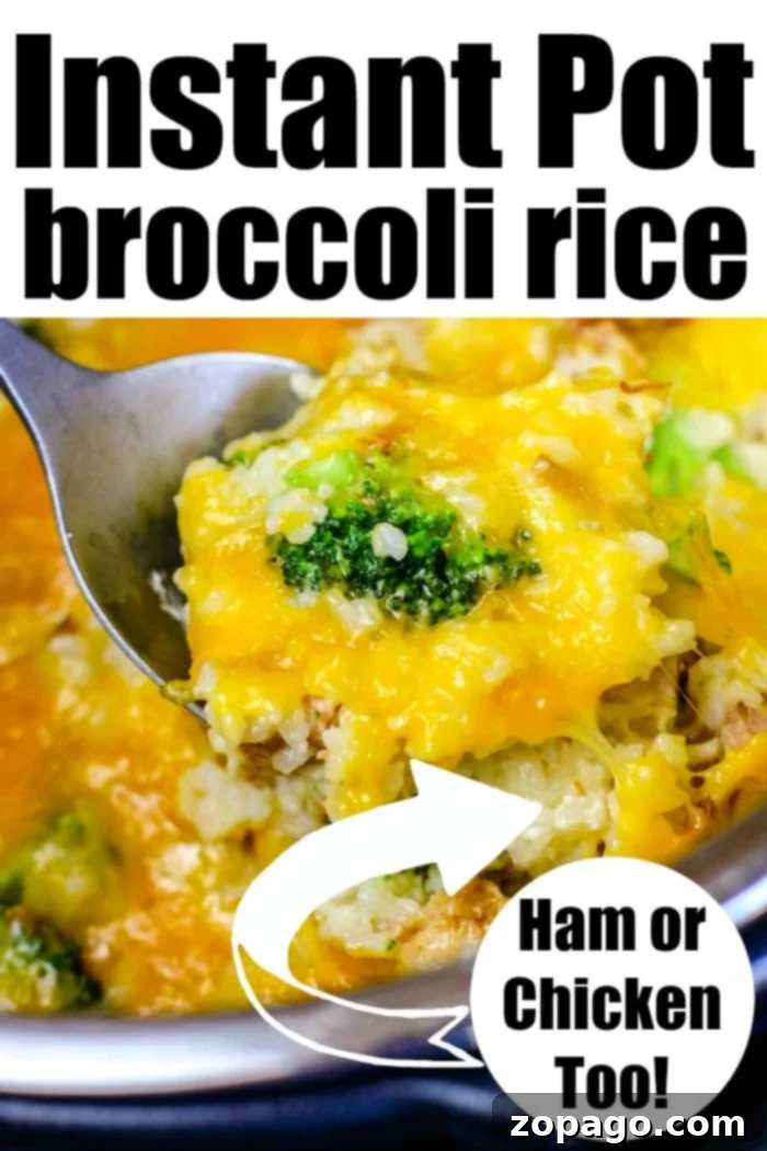 One Pot Instant Pot Chicken Broccoli and Rice 9 Instant Pot Chicken Broccoli Rice served in a bowl