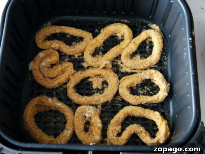 Air Fryer Calamari Without Buttermilk served golden brown and crispy.