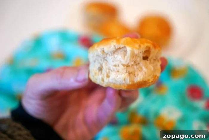 Air Fryer Frozen Biscuits: Golden Perfection 10 Freshly baked biscuits, golden-brown and fluffy, arranged on a surface, highlighting their perfect texture and readiness for serving.