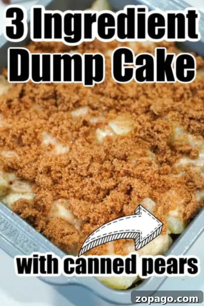 Effortless 3 Ingredient Dump Cake 4 A close-up of a baking dish filled with dump cake, topped with a crumbly layer.