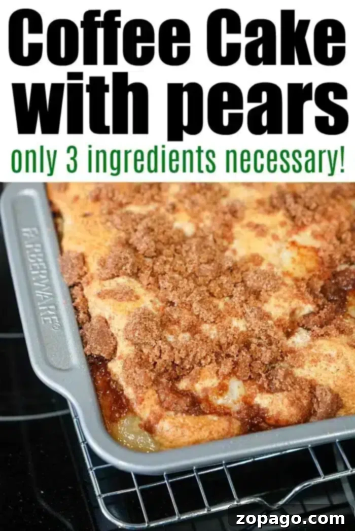 Effortless 3 Ingredient Dump Cake 5 A rectangular coffee cake with pears topped with a crumbly brown streusel sits in a metal baking pan.