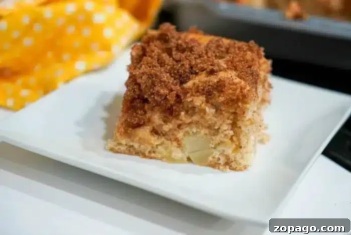 Effortless 3 Ingredient Dump Cake 6 A square slice of crumb-topped coffee cake sits on a white plate. The cake appears moist with a golden brown crumb coating, reminiscent of a simple 3 ingredient dump cake.