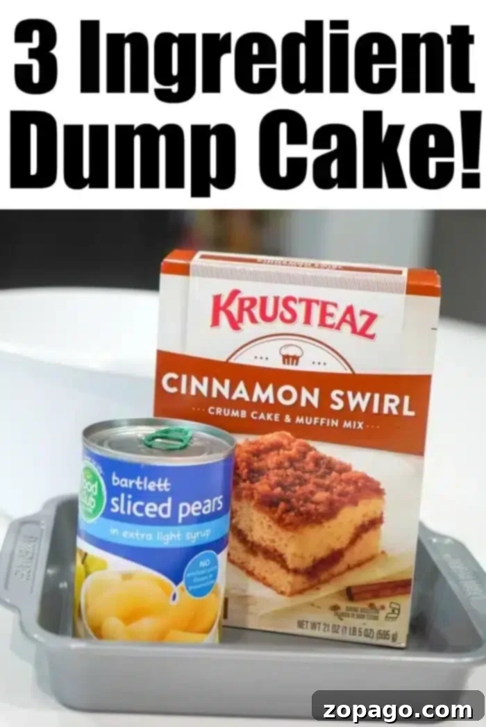 Effortless 3 Ingredient Dump Cake 8 A baking pan contains a package of Krusteaz Cinnamon Swirl Crumb Cake mix and a can of Great Value Bartlett Sliced Pears in Extra Light Syrup. The text above the image reads "3 Ingredient Dump Cake!" Enjoy a delicious, easy-to-make treat with just three simple ingredients.