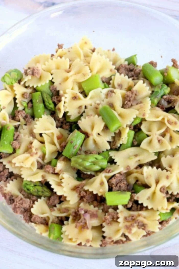 Zesty Asparagus Pasta Salad 2 Delicious Ground Beef Asparagus Pasta Salad with Parmesan