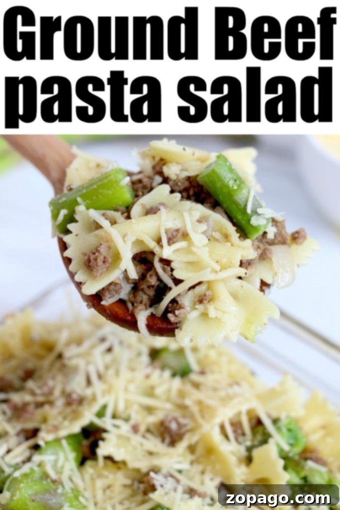 Zesty Asparagus Pasta Salad 4 Asparagus Pasta Recipe with beef