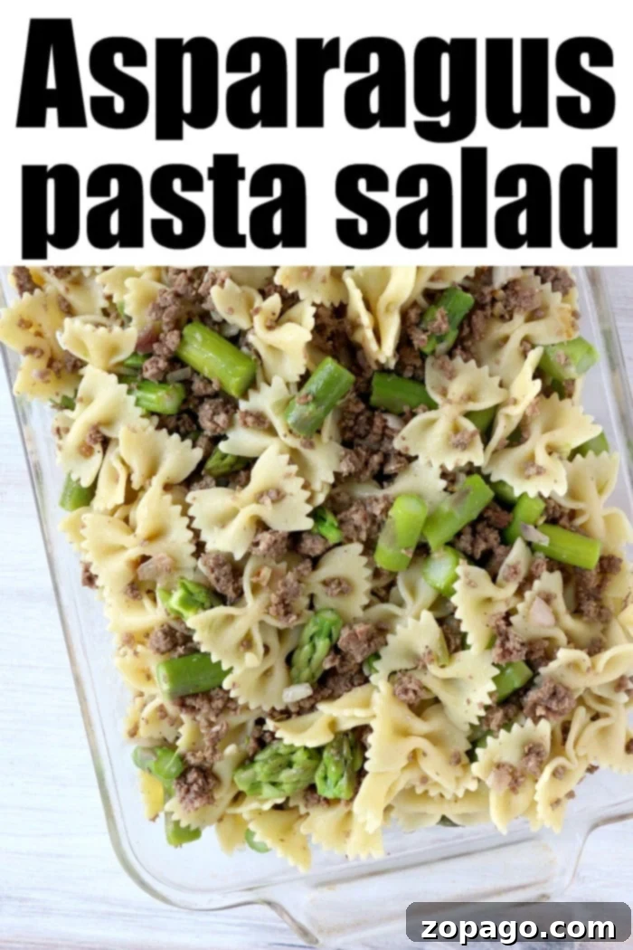 Zesty Asparagus Pasta Salad 5 Cold pasta salad with ground beef and asparagus