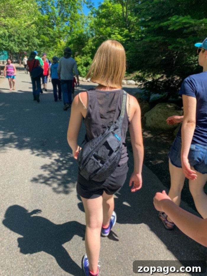 Silverwood Magic Northern Idaho's Top Theme Park 6 what to bring to an amusement park and water park