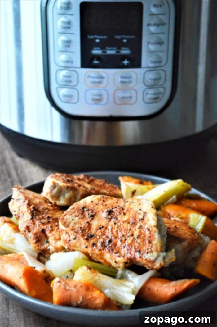 Easy No-Thaw Instant Pot Pork Chops 2 Instant Pot Frozen Pork Chops: A quick guide to cooking tender pork from frozen
