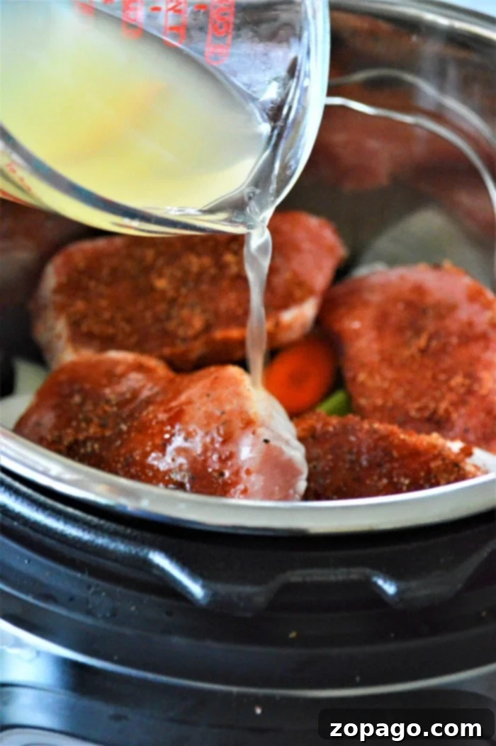 Easy No-Thaw Instant Pot Pork Chops 6 instant pot pork chops