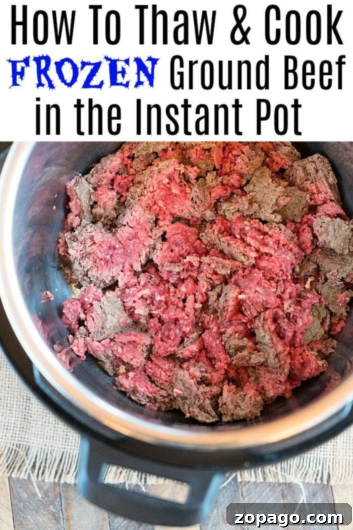 Instant Pot Frozen Meat: The Ultimate No-Thaw Guide 11 Instant Pot Frozen Ground Beef