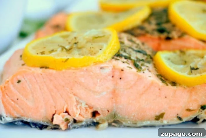 Instant Pot Frozen Meat: The Ultimate No-Thaw Guide 14 salmon recipe