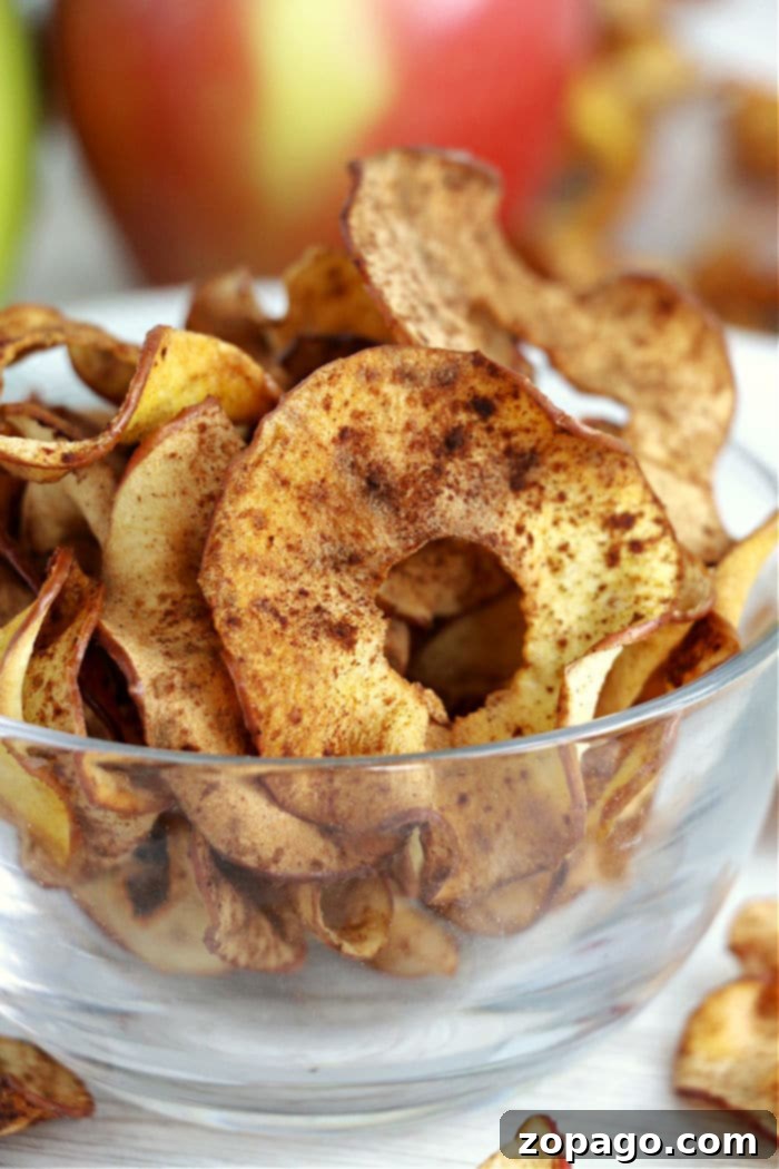 Crispy Air Fryer Apple Chips 2 Crispy air fryer apple chips with a sprinkle of cinnamon and sugar, ready for snacking.