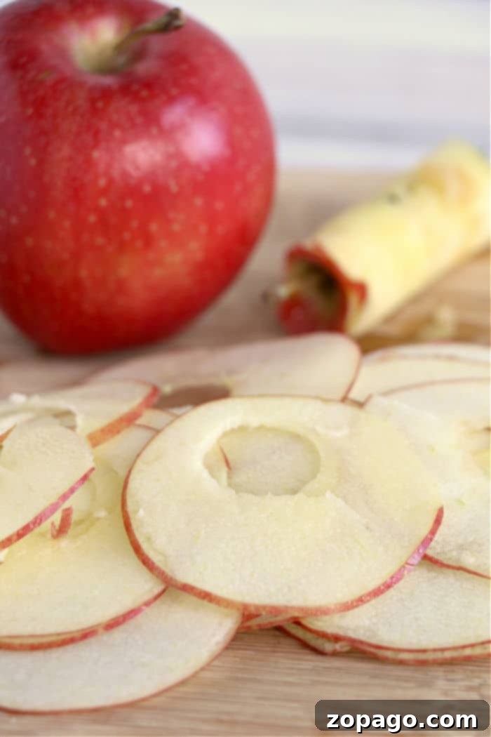 Crispy Air Fryer Apple Chips 3 Homemade apple chips thinly sliced, showcasing their natural texture before air frying.