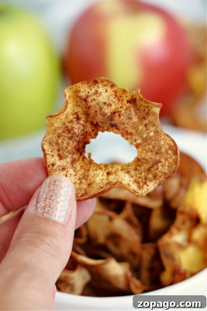Crispy Air Fryer Apple Chips 5 A bowl overflowing with freshly made air fryer cinnamon sugar apple chips.