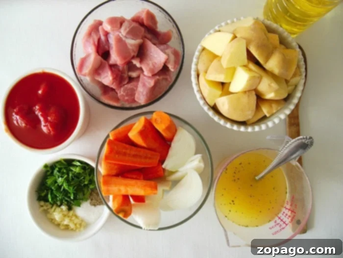 Quick Pressure Cooker Pork Stew 3 tender pork stew instant pot