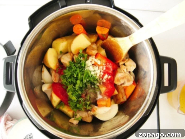 Quick Pressure Cooker Pork Stew 4 pressure cooker pork stew with vegetables