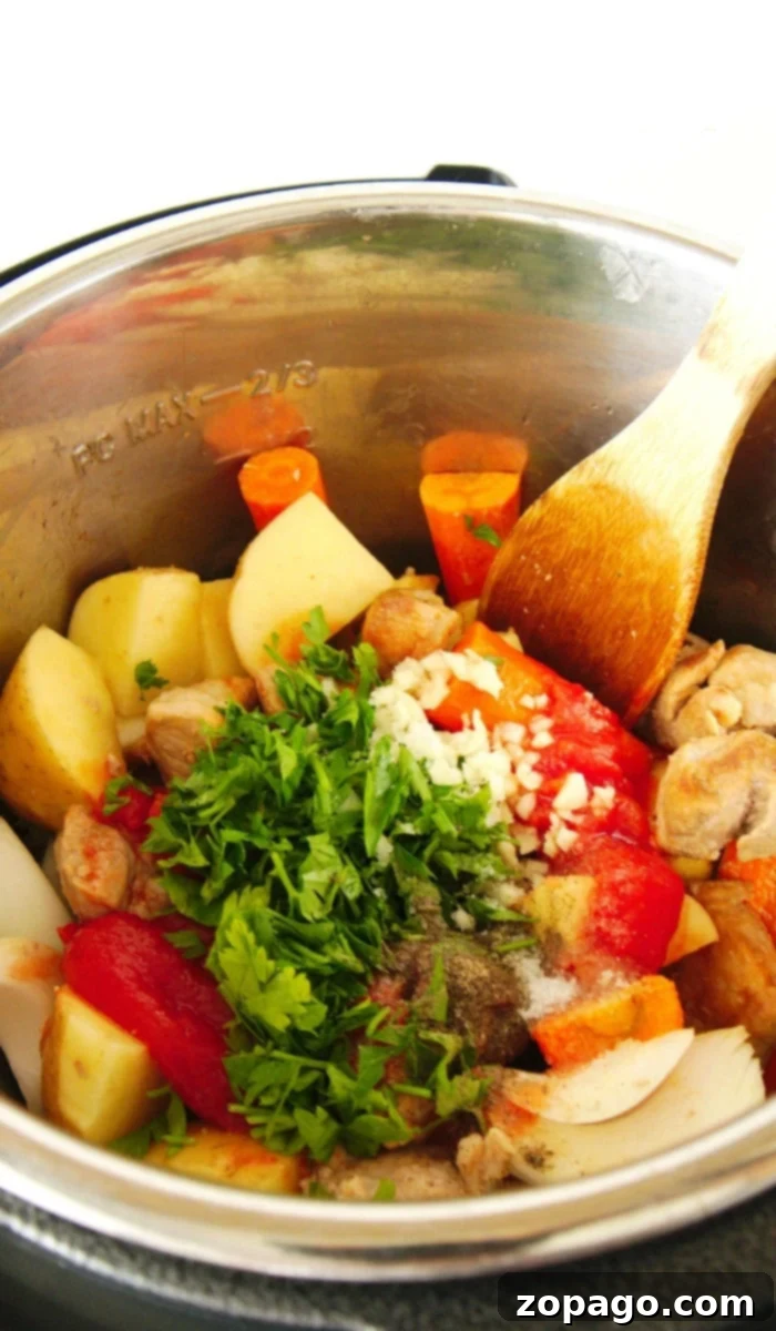 Quick Pressure Cooker Pork Stew 6 instant pot pork stew ready to serve