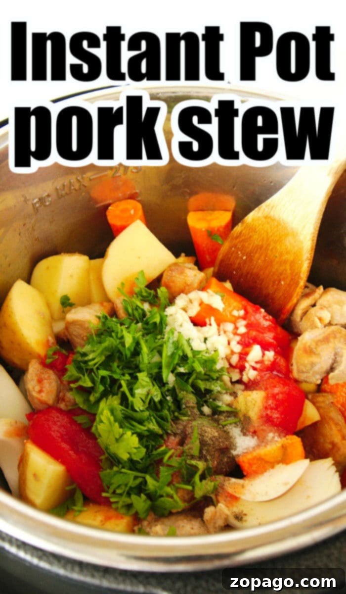Quick Pressure Cooker Pork Stew 8 instant pot pork stew overhead shot