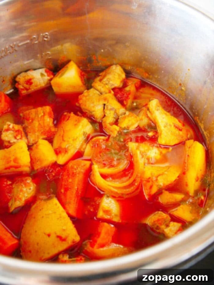 Quick Pressure Cooker Pork Stew 9 Instant Pot Pork Stew with Potatoes garnished with herbs