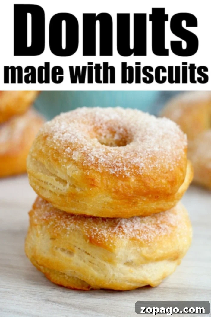 Golden Ninja Air Fryer Biscuit Donuts 6 A close-up of a perfectly glazed and topped biscuit donut, showcasing its fluffy texture and delicious appearance.