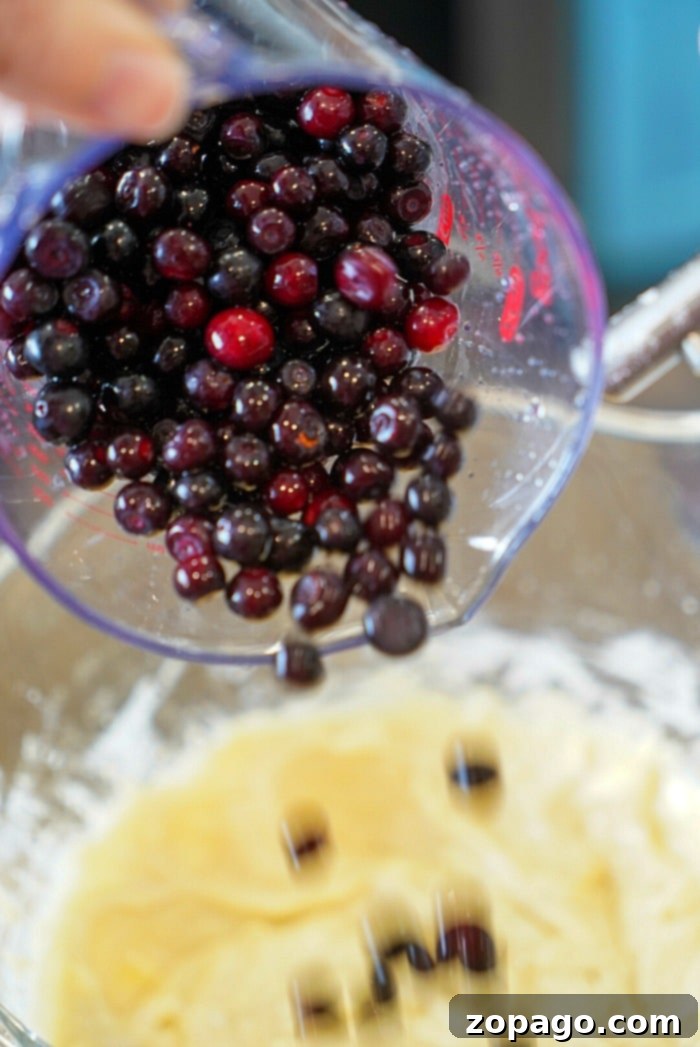 Wild Huckleberry Muffins 6 Pouring a mix of huckleberries into a bowl with muffin batter, this easy muffin recipe promises delicious results.