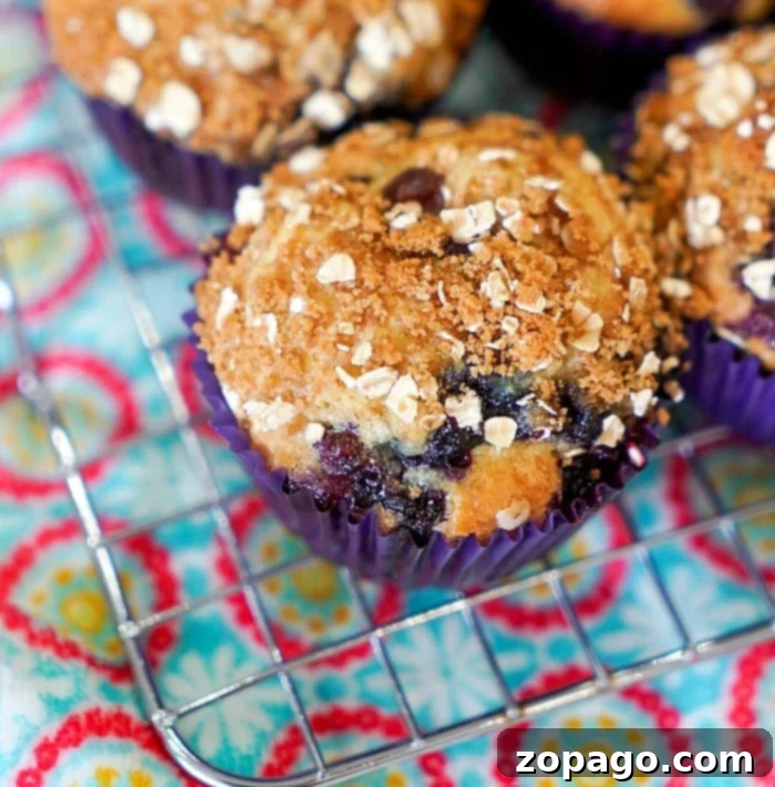 Homemade Huckleberry Muffins 9 muffins - a close-up of a perfectly baked huckleberry muffin with crumble, ready to be enjoyed