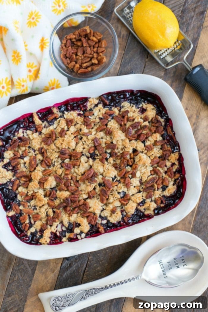 Huckleberry Delights 7 A warm huckleberry cobbler with a golden-brown, crispy topping, served in a rustic ceramic dish, perfectly showcasing a delectable huckleberry recipe.