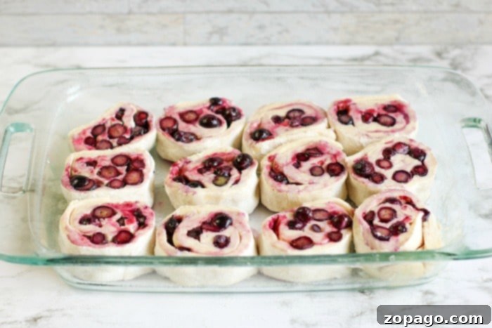 Huckleberry Delights 10 fresh fruit recipe, showcasing baked huckleberry sweet rolls topped with frosting, a delicious and inviting dessert