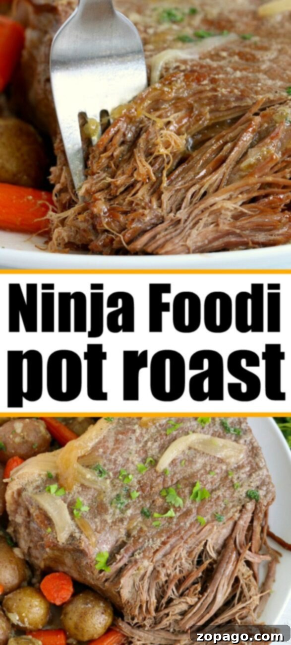 Ninja Foodi One-Pot Wonder 9 Ninja Foodi pot roast with onions and gravy
