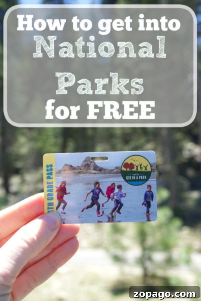 Scenic view of a national park, with majestic mountains and tall trees under a clear sky, highlighting free admission opportunities for all.