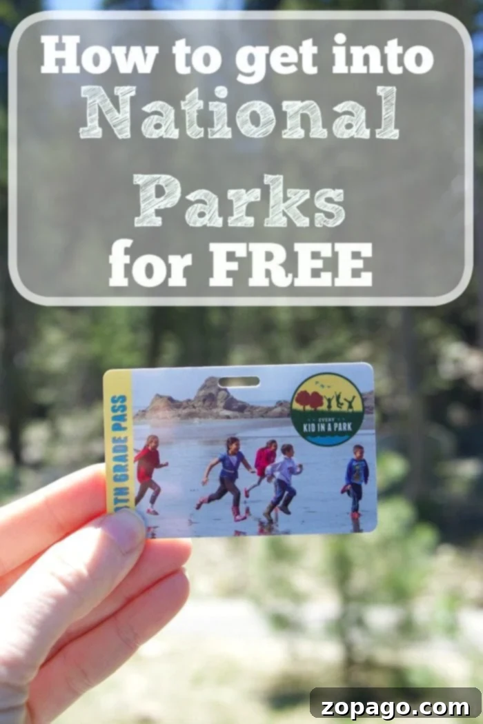 Explore the stunning landscapes of National Parks for free on designated fee-free days throughout the year. A vibrant green forest landscape with a winding river, representing the beauty of national parks and the opportunity for free admission.