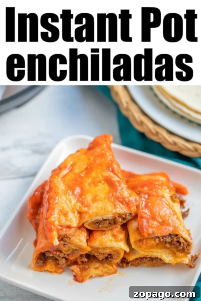 Effortless Instant Pot Enchiladas 9 instant pot enchiladas