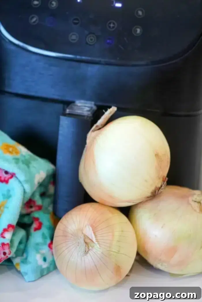 Golden Crisp Air Fryer Onions 4 Three yellow onions are placed in front of an air fryer, showcasing its sleek design with a digital control panel. To the left, a colorful floral-patterned cloth adds a touch of charm to the scene.