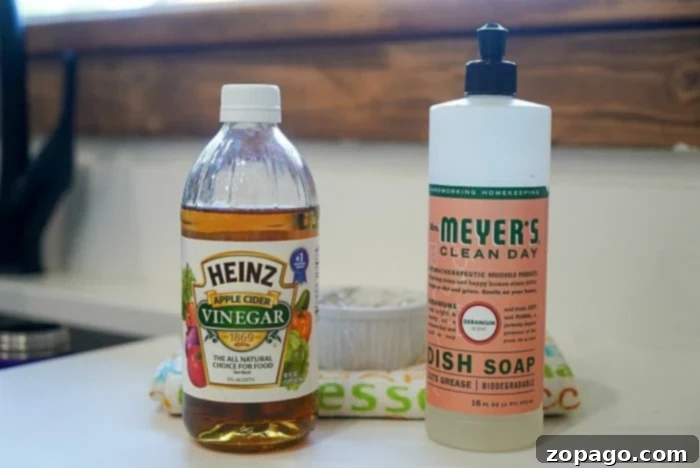 Naturally Eliminate Gnats For Good 3 natural gnat repellent