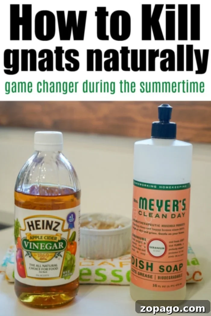 Naturally Eliminate Gnats For Good 4 natural gnat killer