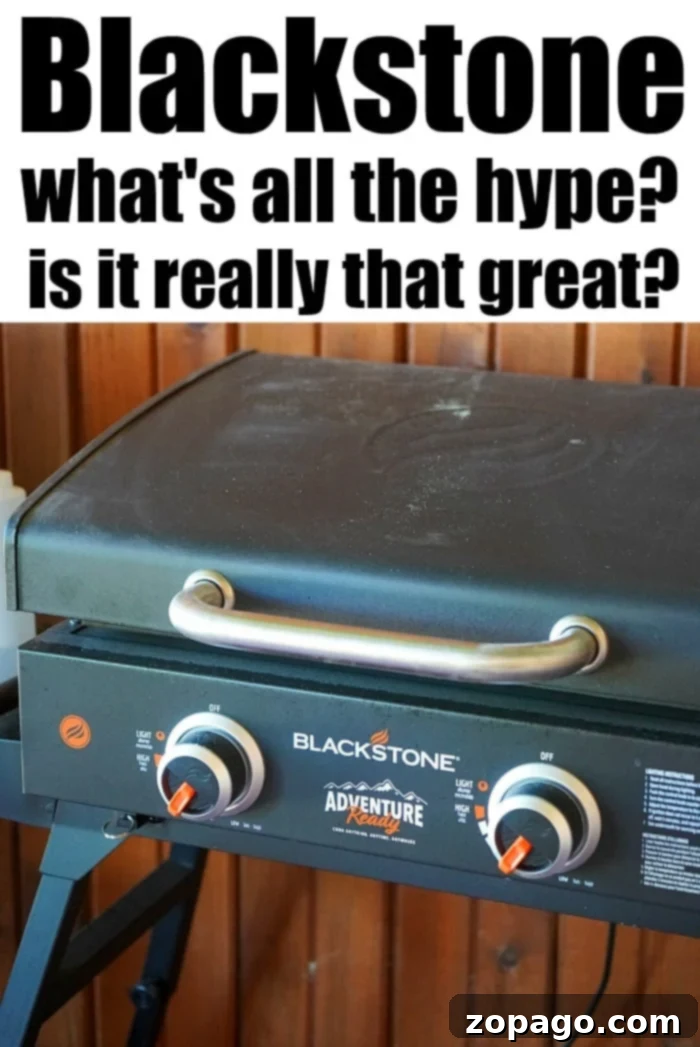 Blackstone 22: Your Ultimate Outdoor Cooking Companion 2 A Blackstone 22-inch Adventure Ready griddle, perfect for outdoor cooking and camping adventures.
