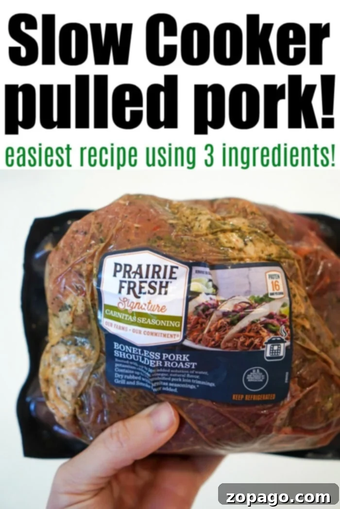 Classic Slow Cooker Pulled Pork 3 Easy Pulled Pork Slow Cooker Recipe with 3 Ingredients