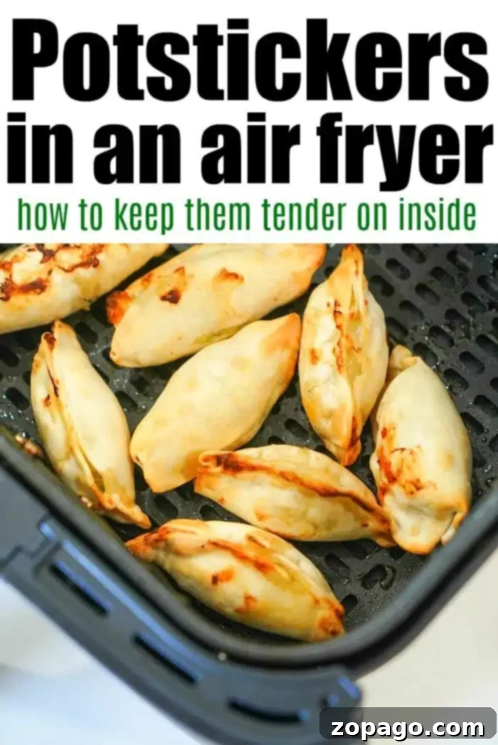 Potstickers in an air fryer basket, perfectly tender on the inside. Discover how to achieve this delightful texture with our guide: Potstickers in Air Fryer Tips.