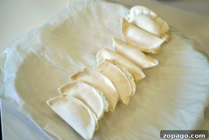 how to cook potstickers