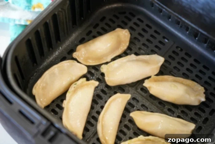 air fryer potstickers