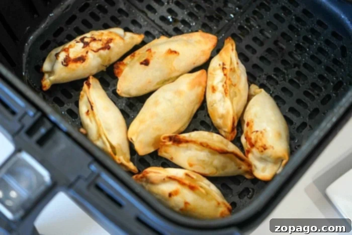 ninja foodi potstickers