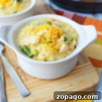 One-Pot Chicken Casserole 6 chicken casserole in crockpot