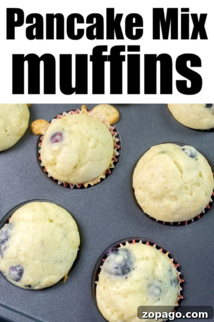 Muffins from Pancake Mix: A Clever Hack 9 blueberry muffins with pancake mix