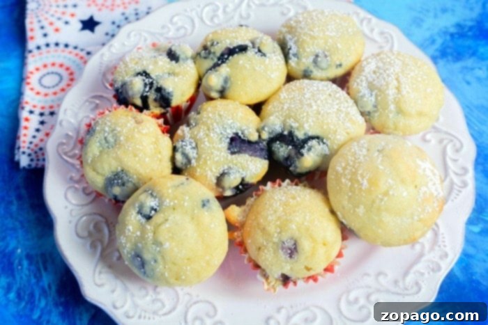 Muffins from Pancake Mix: A Clever Hack 6 easy blueberry muffin recipe